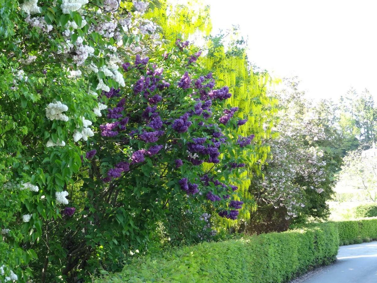 La Fermette Blanche Bed and Breakfast Nadrin Εξωτερικό φωτογραφία